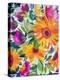 Orange Gerber Daisies 2-Kim Parker-Premier Image Canvas