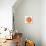 Orange Gerbera-Christine Zalewski-Stretched Canvas displayed on a wall