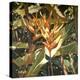 Orange Heleconia-Darrell Hill-Premier Image Canvas