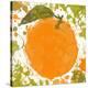 Orange II-Irena Orlov-Stretched Canvas