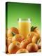 Orange Juice and Fresh Oranges-Miguel G^ Saavedra-Premier Image Canvas