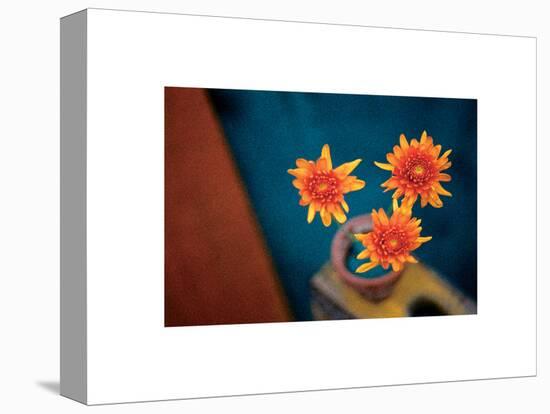 Orange Mums-unknown unknown-Stretched Canvas