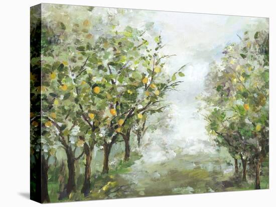 Orange Orchard-Allison Pearce-Stretched Canvas