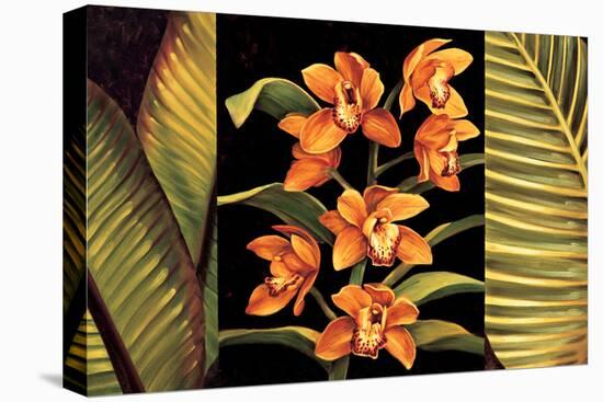 Orange Orchids & Palm Leaves-Rodolfo Jimenez-Stretched Canvas