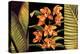 Orange Orchids & Palm Leaves-Rodolfo Jimenez-Stretched Canvas