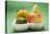 Orange, Pear, Lime and Apple in Polystyrene Tray-Foodcollection-Premier Image Canvas