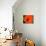 Orange Poppy-Savanah Plank-Stretched Canvas displayed on a wall