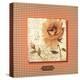 Orange Rose-Joadoor-Stretched Canvas