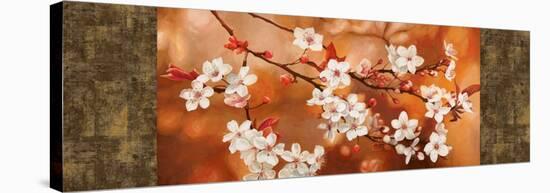 Orange Sakura-Jenny Thomlinson-Stretched Canvas