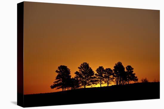 Orange Sky at Dawn, Custer State Park, South Dakota, United States of America, North America-James Hager-Premier Image Canvas