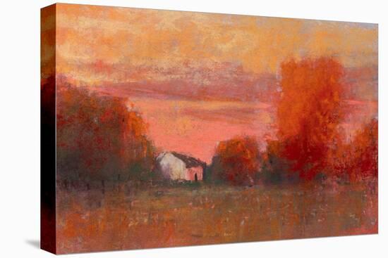 Orange Sky-Carol Strock Wasson-Stretched Canvas