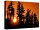 Orange Sunset in the Wilderness Around Mt. Jefferson, Oregon Cascades, USA-Janis Miglavs-Premier Image Canvas