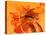 Orange Sword-Ruth Palmer 3-Stretched Canvas