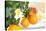 Orange Tree, Branch with Fruits, Citrus Mitis Calamondin-Sweet Ink-Premier Image Canvas