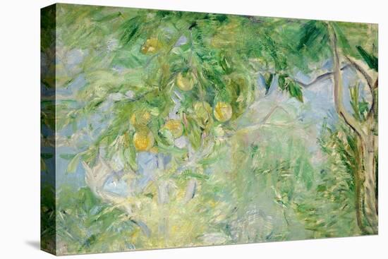 Orange Tree Branches, 1889-Berthe Morisot-Premier Image Canvas