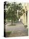 Orange Tree in Courtyard, Cordoba, Andalucia, Spain-Rob Cousins-Premier Image Canvas