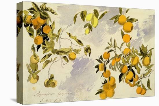 Orange Trees, 1863 (W/C, Pen and Ink over Graphite on Heavy Wove Paper)-Edward Lear-Premier Image Canvas