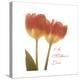 Orange Tulips Quoted-Albert Koetsier-Stretched Canvas
