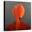 Orange Turban-Lincoln Seligman-Premier Image Canvas