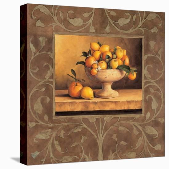 Oranges and Lemons-Andres Gonzales-Stretched Canvas