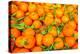 Oranges displayed in market in Shepherd's Bush, London, U.K.-Richard Wright-Premier Image Canvas