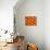 Oranges-null-Premier Image Canvas displayed on a wall