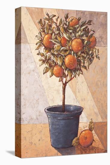 Orangetree-Karsten Kirchner-Stretched Canvas