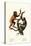 Orangutan, 1824-Karl Joseph Brodtmann-Premier Image Canvas