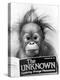 Orangutang, October 1986-null-Premier Image Canvas