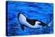 Orca Killer Whale Underwater-Megan Aroon Duncanson-Stretched Canvas