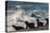 Orca (Orcinus Orca) Hunting Sea Lion Pups, Peninsula Valdez, Patagonia Argentina-Gabriel Rojo-Premier Image Canvas
