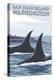 Orca Whales No.1, San Juan Island, Washington-Lantern Press-Stretched Canvas