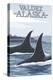 Orca Whales No.1, Valdez, Alaska-Lantern Press-Stretched Canvas