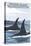 Orca Whales No.1, Whidbey, Washington-Lantern Press-Stretched Canvas