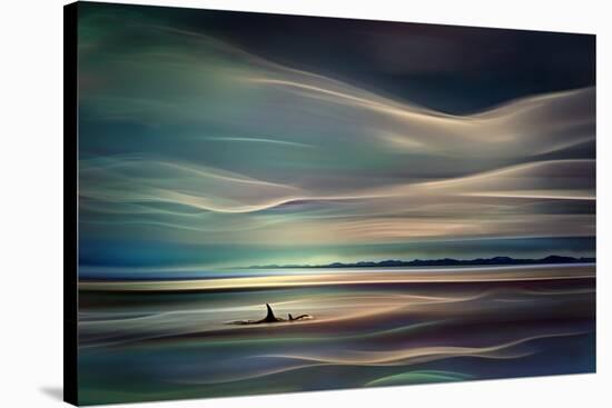 Orcas-Ursula Abresch-Premier Image Canvas