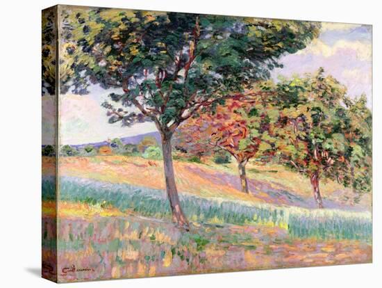 Orchard at St. Cheron, 1893-Armand Guillaumin-Premier Image Canvas