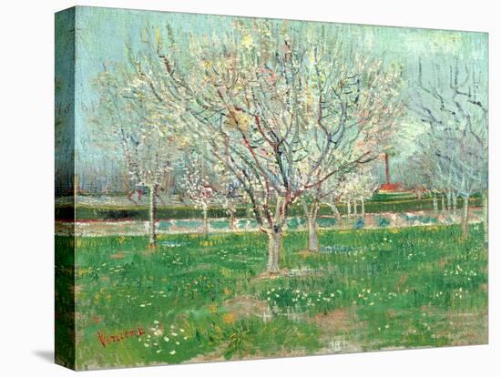 Orchard in Blossom, 1880-Vincent van Gogh-Premier Image Canvas