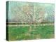 Orchard in Blossom, 1880-Vincent van Gogh-Premier Image Canvas