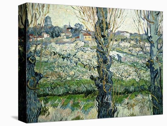 Orchard in Blossom with a View of Arles, 1889-Vincent van Gogh-Premier Image Canvas