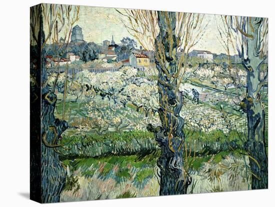 Orchard in Blossom with a View of Arles, 1889-Vincent van Gogh-Premier Image Canvas