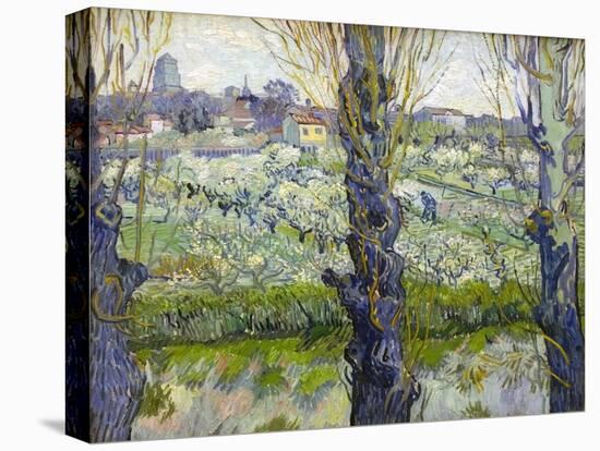 Orchard in Blossom with View of Arles, 1889-Vincent van Gogh-Premier Image Canvas