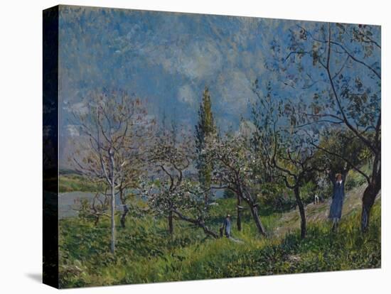 Orchard in Spring, By, 1881-Alfred Sisley-Premier Image Canvas