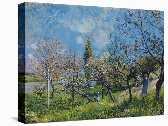 Orchard In Spring-Alfred Sisley-Premier Image Canvas