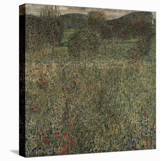 Orchard or Field of Flowers, Ca 1905-Gustav Klimt-Premier Image Canvas