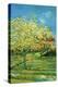 Orchard with Cypress-Vincent van Gogh-Stretched Canvas