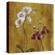 Orchid Bloom II-Georgie-Stretched Canvas