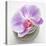 Orchid Blossom on Tower Made of Stones-Uwe Merkel-Premier Image Canvas