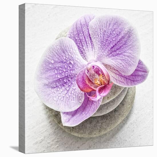 Orchid Blossom on Tower Made of Stones-Uwe Merkel-Premier Image Canvas