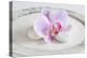 Orchid Blossom on White Sand-Uwe Merkel-Premier Image Canvas