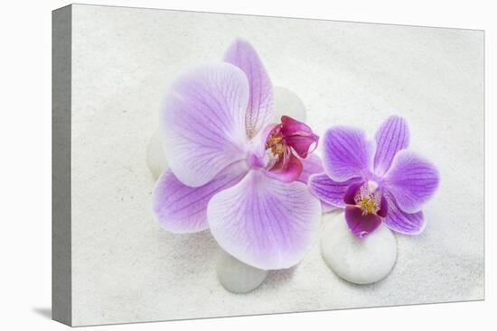 Orchid Blossoms on White Sand-Uwe Merkel-Premier Image Canvas